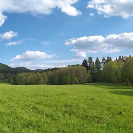 U Lesa U Adrspachu Apartment Jívka